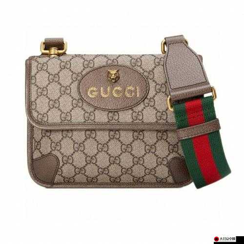 Guccisupreme 系列：引领时尚潮流的奢华与个性象征